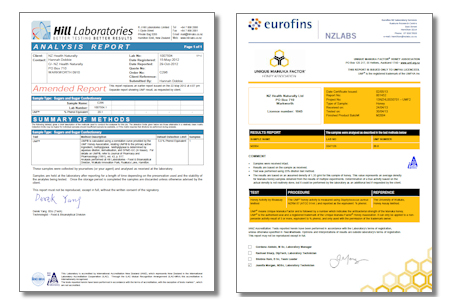 umf-cert2
