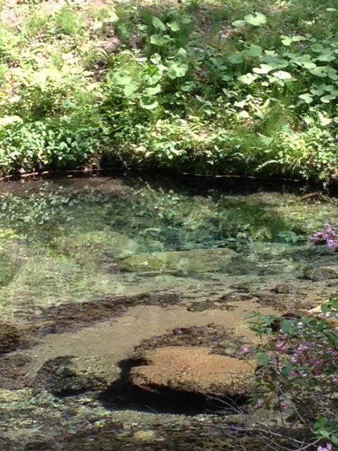 ★湧水で涼しい気分に★