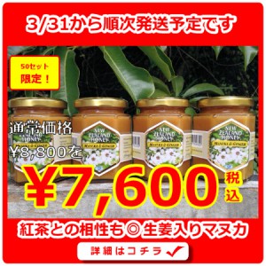 マヌカジンジャー4個セット