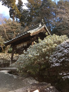 再びの雪