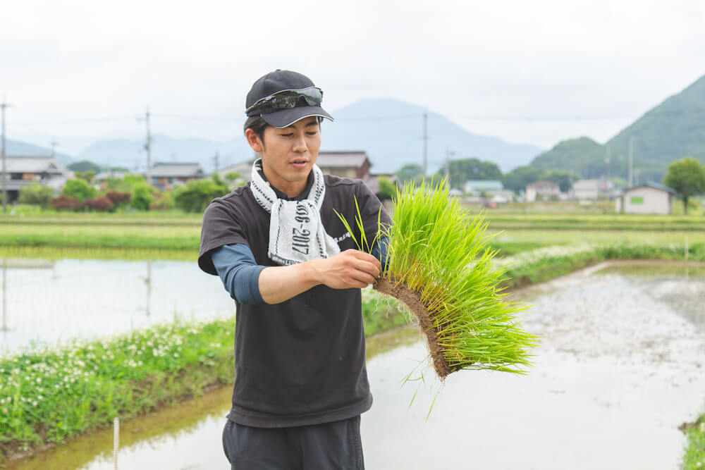 手で植える方法を説明する藤岡農場の7代目。実は自身も手で植えるのはこれが初めて。